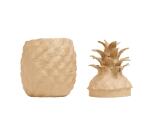 Boîte ananas - Kraft