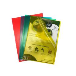 Exacompta Recycled PP Cut Flush Folders Pack of 25 - Assorted colours