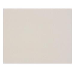 Carton Gris 3,5mm 5F 80x120cm 2275g - Gris