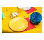 20 Assiettes en carton rondes, 23 cm