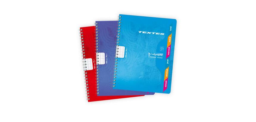 Textes reliure intégrale 7000 17x22 cm 100 pages grands carreaux 70 g - Assortis