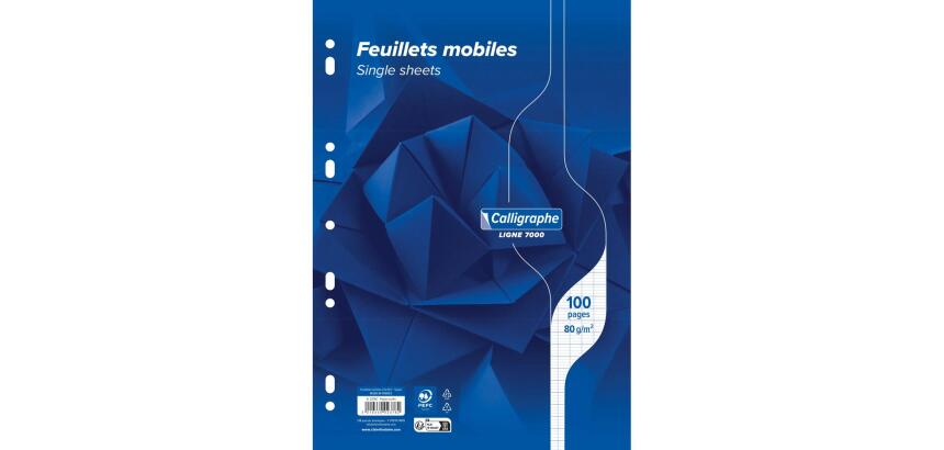 Feuillets mobiles sous film 7000 A4 100 pages perforées grands carreaux 80 g