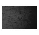 Chemise à élastique sans rabat carte lustrée 400gm2 - A4