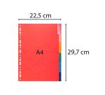 Intercalaires Carte lustrée 225g avec onglets renforcés - 6 positions - A4 - Couleurs assorties