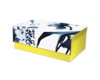 Inkebana, Boîte rectangulaire 29,8x17,8x10,8 cm - Multicolore