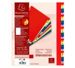 Separadores Separadores con pestañas impresas Polipropileno 12/100º - Surtidos brillantes - Colores surtidos vivos