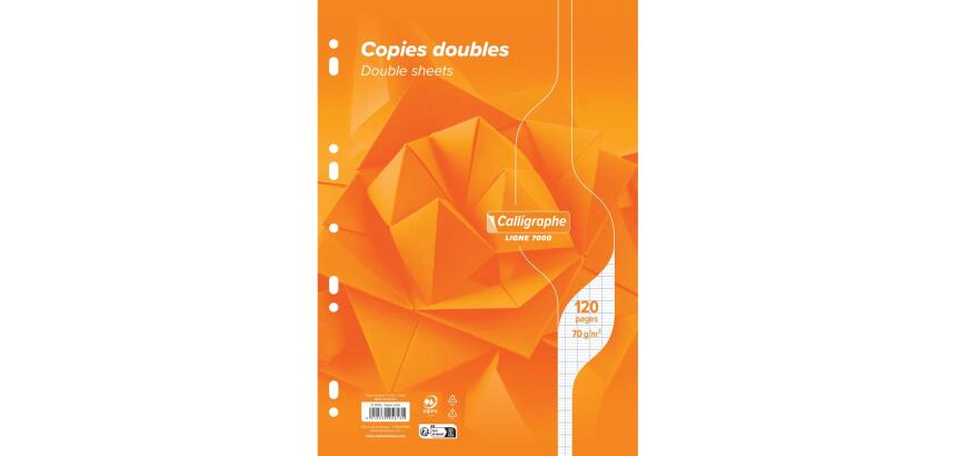 Copies doubles 7000 sous film A4 120 pages perforées grands carreaux 70 g