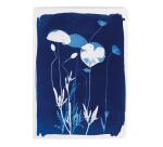 Cyanotype, Carnet cousu fil A5 14,8x21 cm, 64 pages, ligné, ass.
