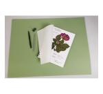 Herbier carnet spiralé 32F A4 180g