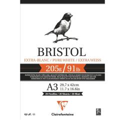 Bristol bloc collé 20F A3 205g