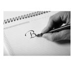 BOITE 50 PLUMES BANDZUG