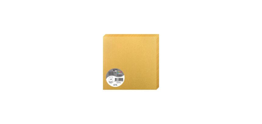 Paquet de 25 cartes pliées Pollen 160x160mm 210g/m2