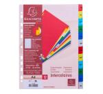 Intercalaires imprimés mensuels PP couleurs Janv-Décembre - A4 - Couleurs assorties