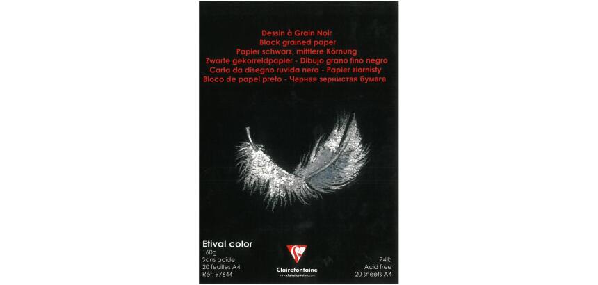 Etival Color bloc collé 20F A4 160g - Noir