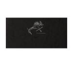 Flying Spirit carnet cousu 50F 10,5x21cm 90g - Noir