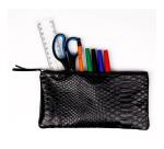 REPTILE DESIGN Trousse plate 22x11 cm, Python noir - Python noir