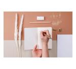 Tulip paper, Kit de papeterie contenant un carnet 11x17 cm 64 pages lignées, un crayon de papier, 2 pinces doubles-clip, 10 trombones et une gomme