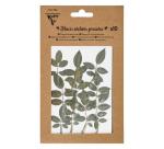 FLEURS SÉCHÉES PRÉSSÉES, Pochette de 10 pièces - Vert