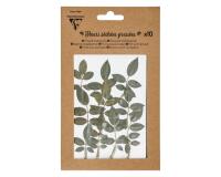 FLEURS SÉCHÉES PRÉSSÉES, Pochette de 10 pièces - Vert