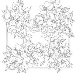 Carré 100% soie - 90x90cm Ayva - Blanc