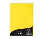 Etui de 50 feuilles Pollen 210x297mm 120g/m2