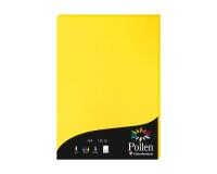 Etui de 50 feuilles Pollen 210x297mm 120g/m2 - jaune soleil