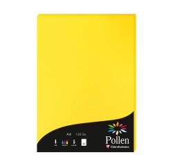 Etui de 50 feuilles Pollen 210x297mm 120g/m2
