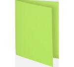 Pk 100 Insert Folders Flash 80g