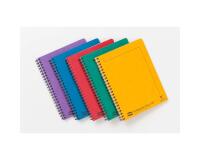 Notemaker+ Europa cahier reliure intégrale A4+ 240 pages détachables perforé 4 trous ligné + marge - Assortiment A