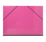 Carton à dessins avec élastiques IDERAMA - Raisin - Couleurs assorties