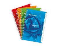Répertoire reliure intégrale 7000 11x17 cm 100 pages petits carreaux 70 g - Assortis