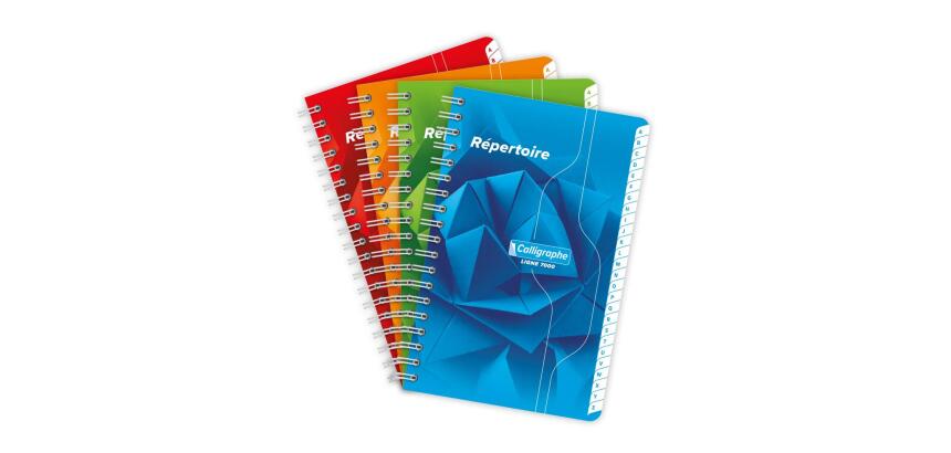 Répertoire reliure intégrale 7000 11x17 cm 100 pages petits carreaux 70 g - Assortis