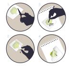 Decalco' Mania, Monstres - Multicolore