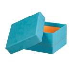 Rhodiarama set 5 boîtes gigognes simili cuir italien 44x34x16 cm - Turquoise