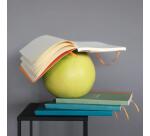 Rhodiarama softcover notitieboek A5, 80 blad gestippeld ivoorkleurig papier van 90g, sluiting met elastiek - Peacock