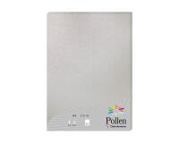 Etui de 25 feuilles Pollen 210x297 210g/m2 - Argent