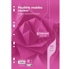 Feuillets mobiles sous film 7000 A4 100 pages perforées grands carreaux 80 g