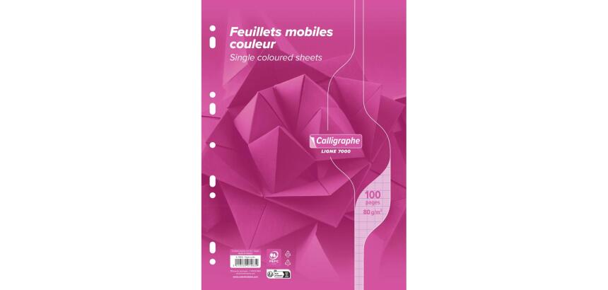 Feuillets mobiles sous film 7000 A4 100 pages perforées grands carreaux 80 g