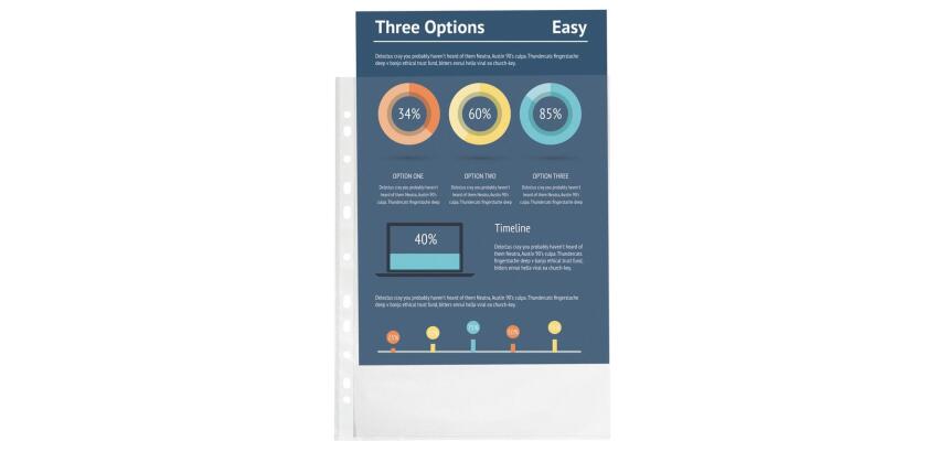 Bolsa de 100 Fundas con taladros A4 4/100e Polipropileno piel de naranja - Translúcido cristal