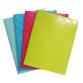 Display Book 1928 PP A4 40 pockets - Assorted colours