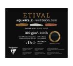 Etival Noir bloc collé 1 côté 15F 20,3x25,4cm 300g double grain