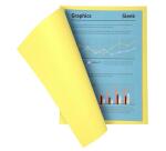 Pk 100 Folders SUPER 160 Salmon