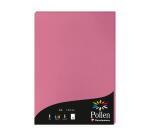 Etui de 50 feuilles Pollen 210x297mm 120g/m2