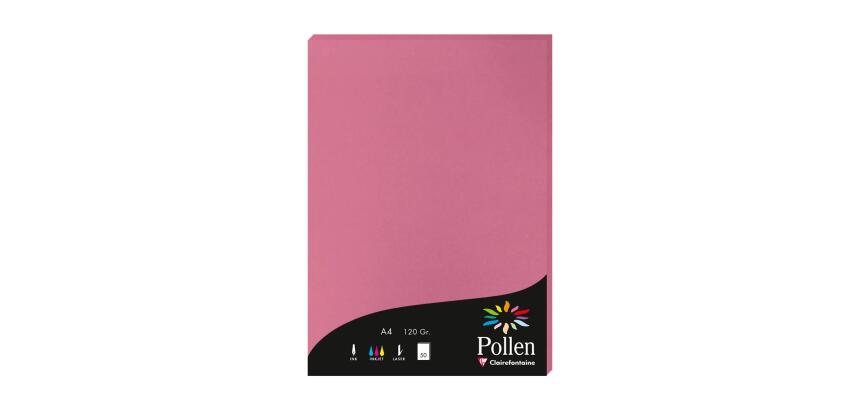 Etui de 50 feuilles Pollen 210x297mm 120g/m2