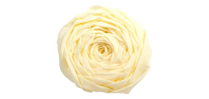 PAPIER CRÉPON, Paquet de 10 feuilles pliées 60% au format 2,50x0,50m