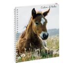Cahier de textes Animaux Cheval 17 x 22 cm - Visuels assortis