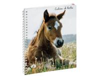 Cahier de textes Animaux Cheval 17 x 22 cm - Visuels assortis