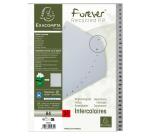 Intercalaires imprimés numériques PP recyclé gris - 31 positions - A4 - Gris