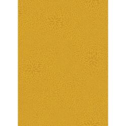 Pochette 3 Feuilles Identiques Ref 654