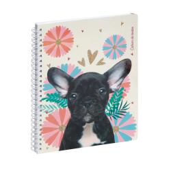 Cahier de textes Lovely chiot 17 x 22 cm - Visuels assortis
